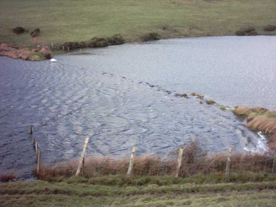 Ulverston Angling Photo